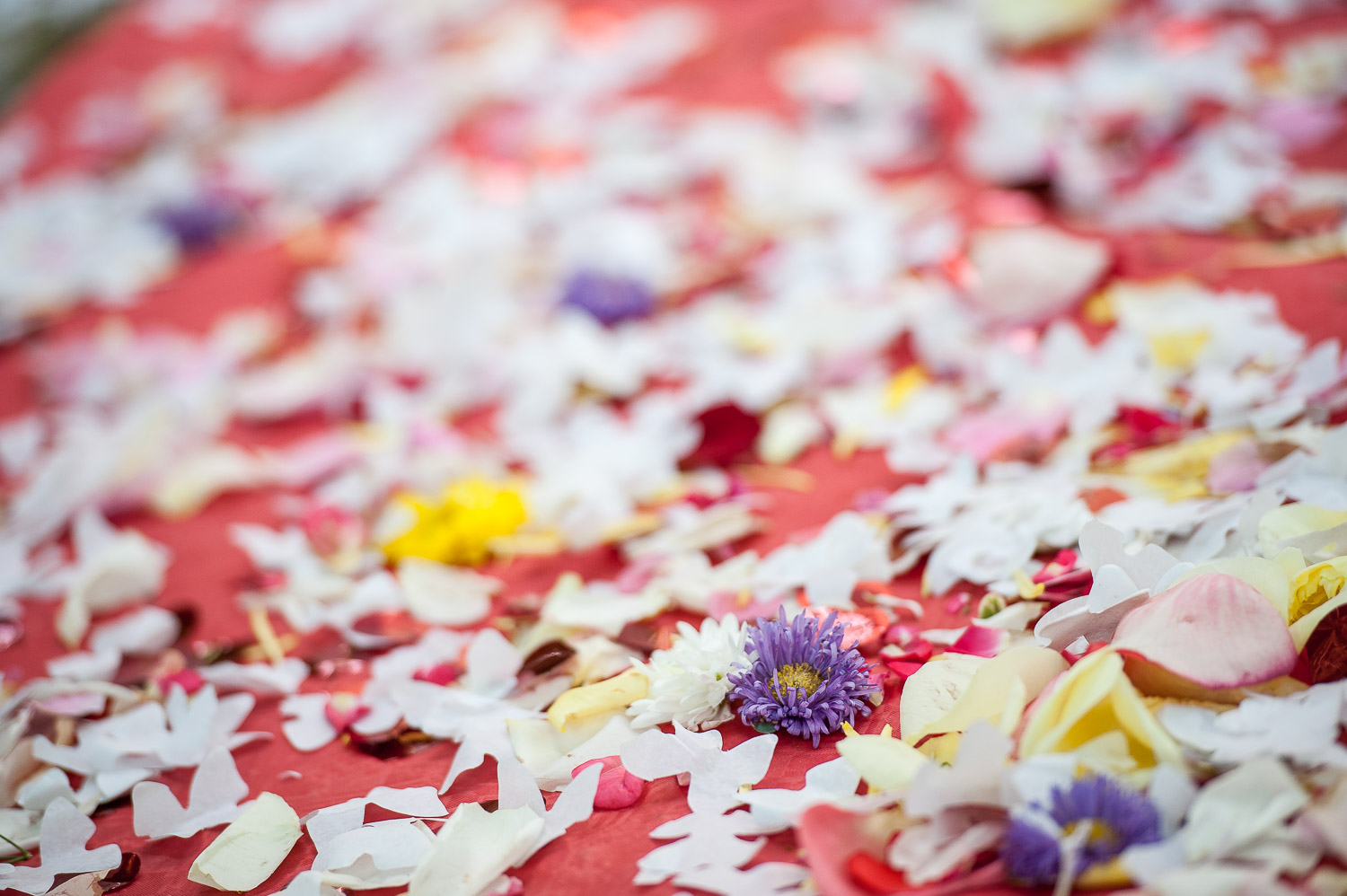 Blütenblätter am Boden nach Hochzeit
