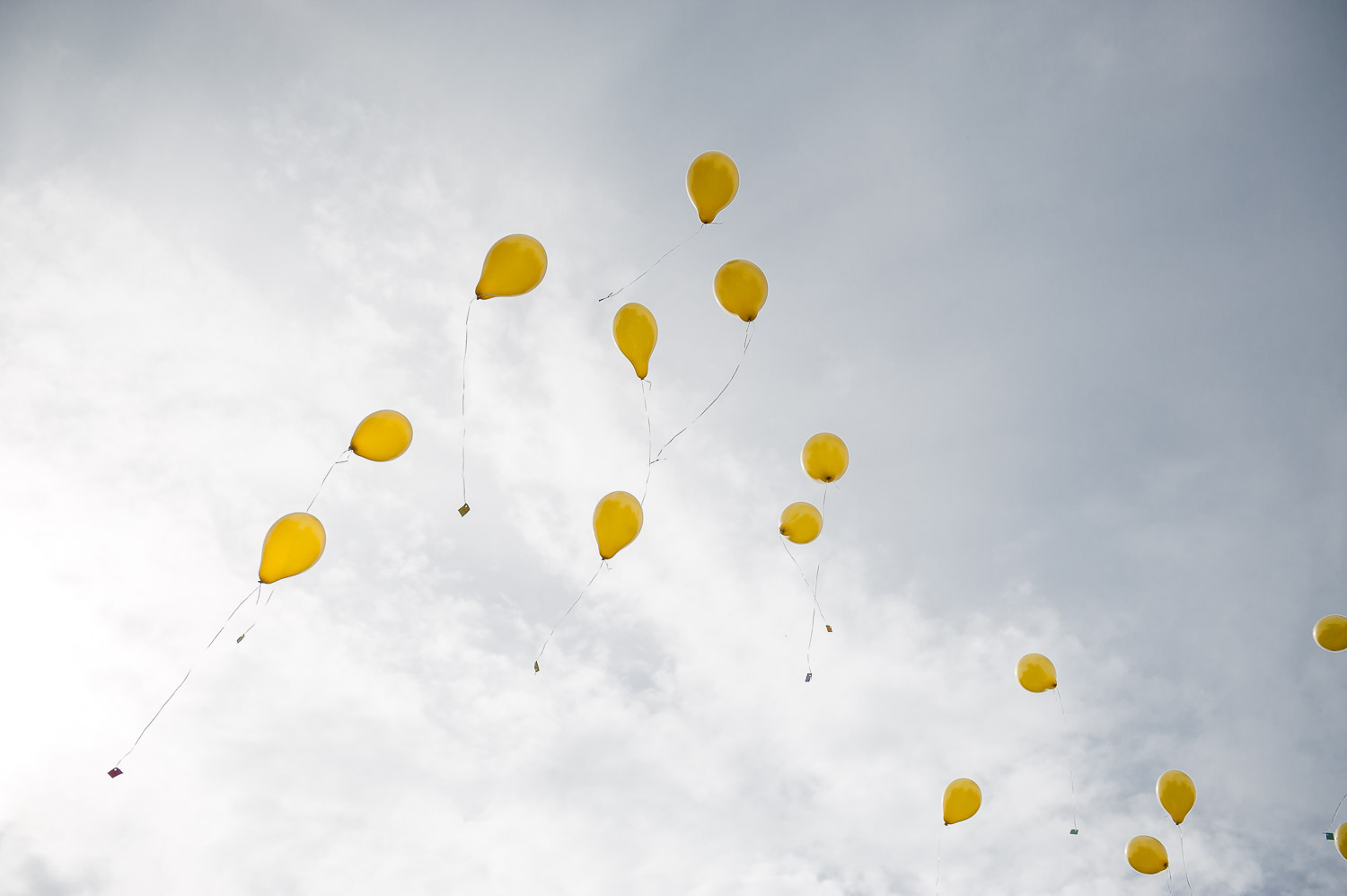 gelbe Luftballons steigen in den Himmel