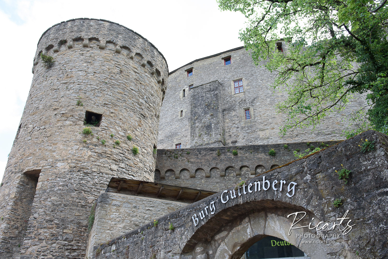 Eingangstor-Burg-Guttenberg