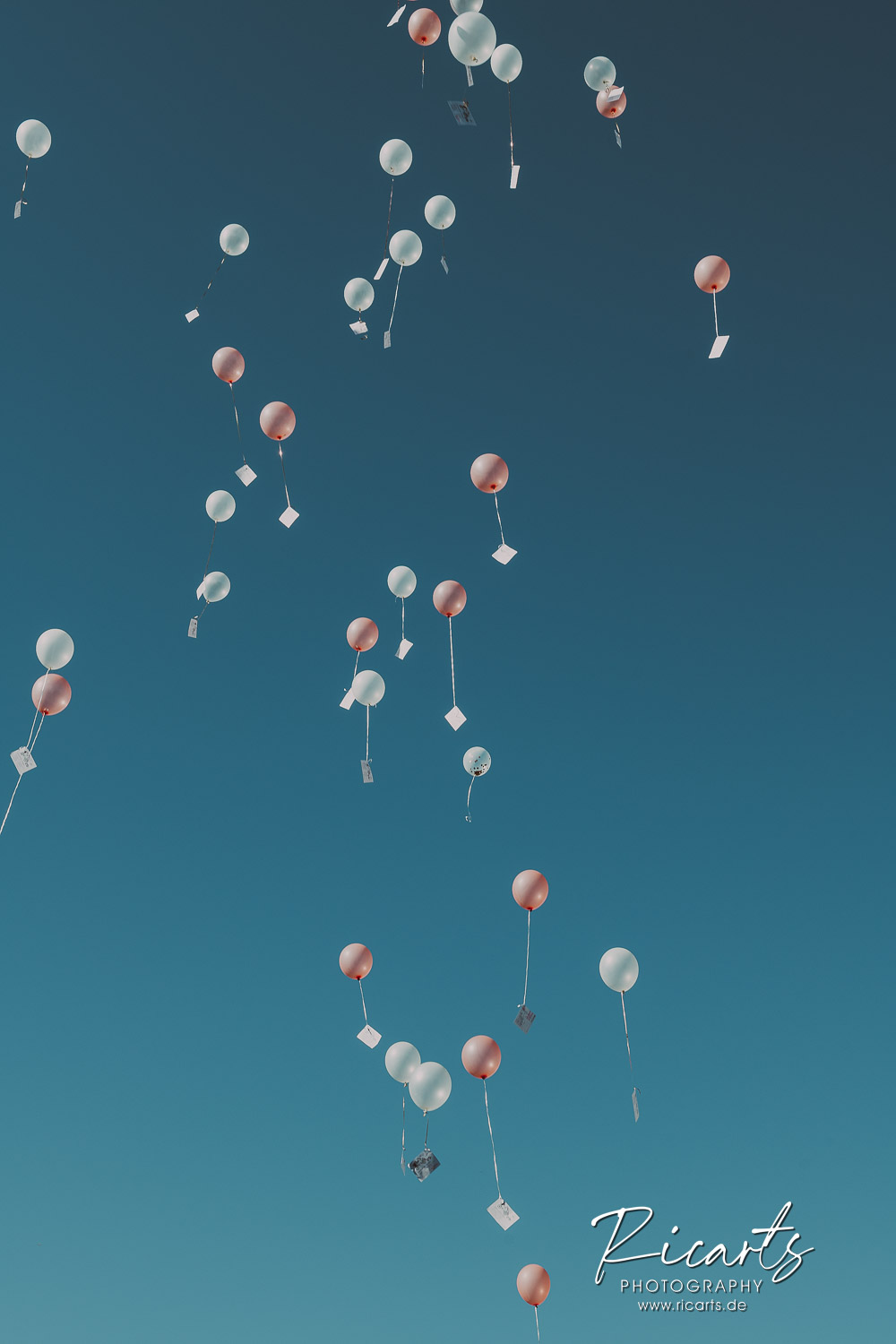Luftballons-mit-Zetteln-fliegen-in-den-Himmel